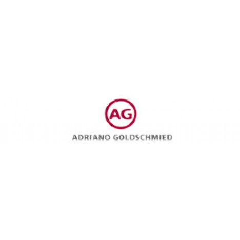 AG Adriano Goldschmied Scarlet Dress