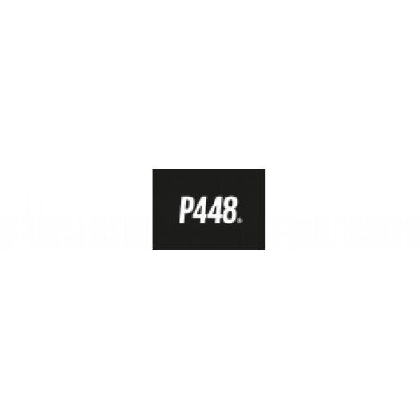 P448 John